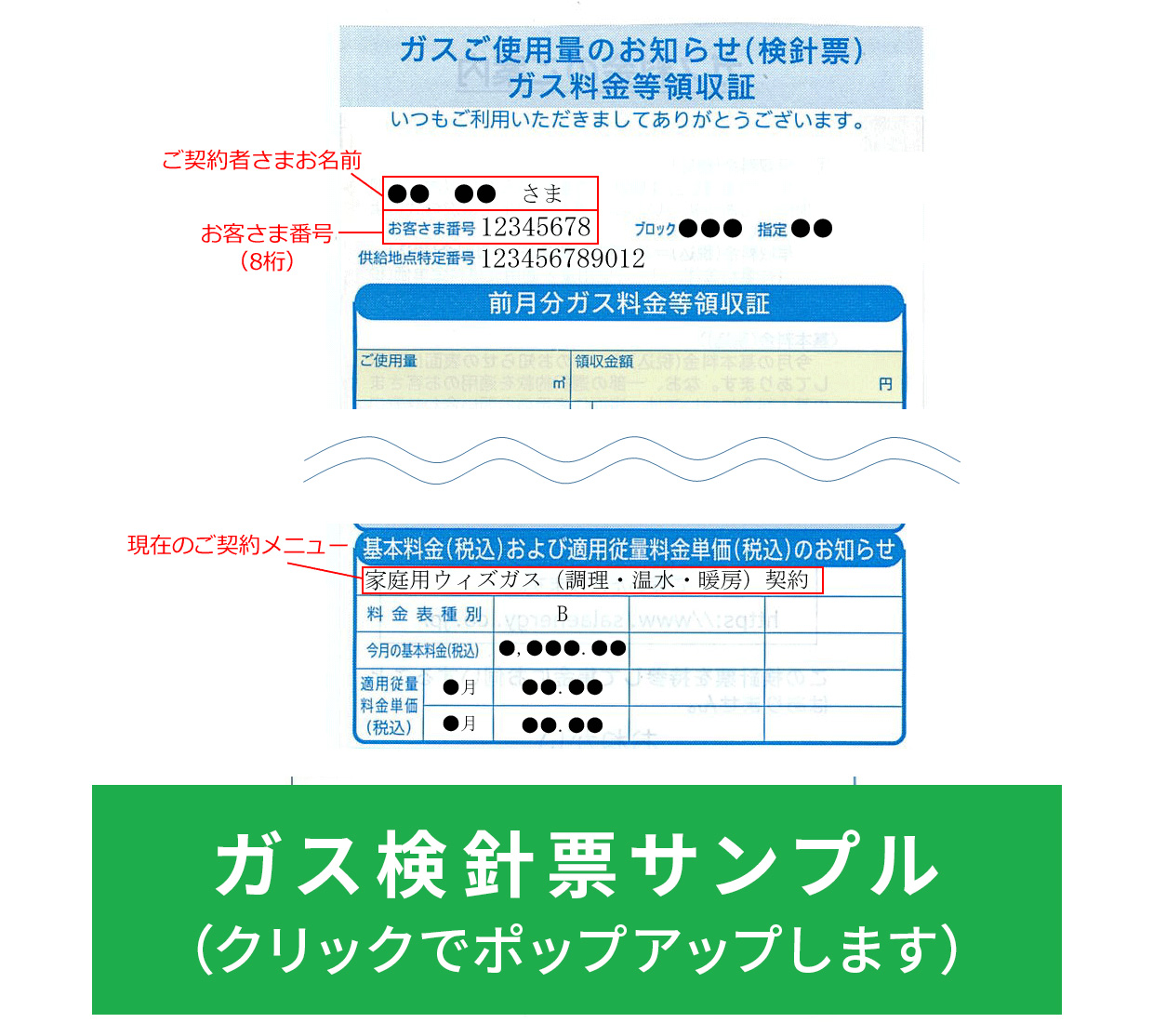 サンプル画像