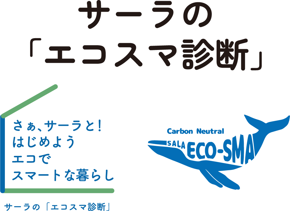 サーラの「エコスマ診断」