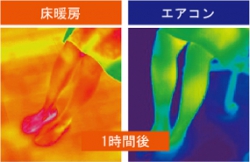 室内での温度分布